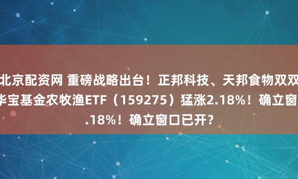 北京配资网 重磅战略出台！正邦科技、天邦食物双双涨停，华宝基金农牧渔ETF（159275）猛涨2.18%！确立窗口已开？