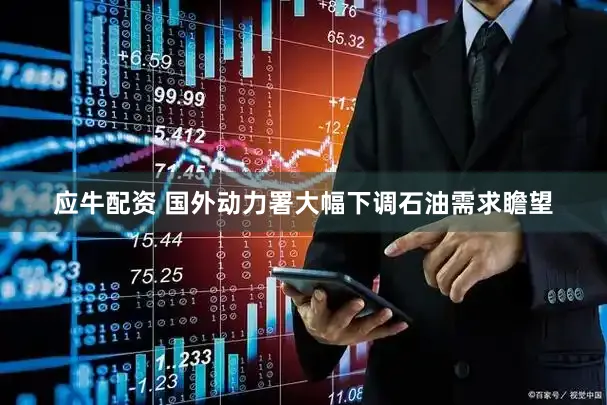 应牛配资 国外动力署大幅下调石油需求瞻望