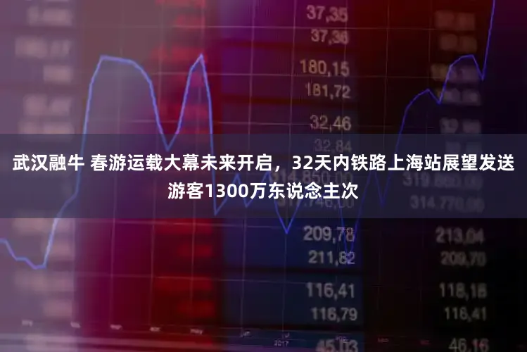 武汉融牛 春游运载大幕未来开启，32天内铁路上海站展望发送游客1300万东说念主次