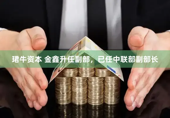 珺牛资本 金鑫升任副部，已任中联部副部长