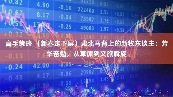 高手策略 （新春走下层）肃北马背上的新牧东谈主：芳华奋勉，从草原到文旅斡旋