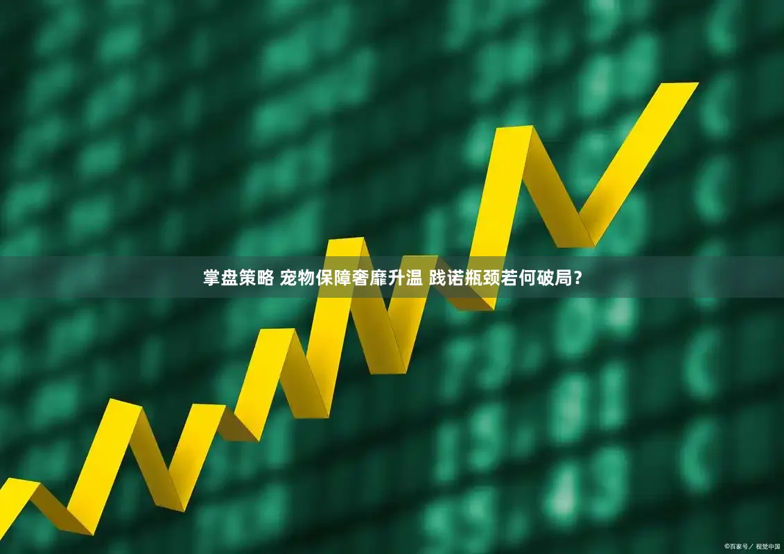 掌盘策略 宠物保障奢靡升温 践诺瓶颈若何破局？