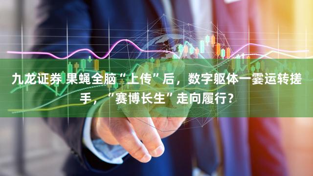 九龙证券 果蝇全脑“上传”后，数字躯体一霎运转搓手，“赛博长生”走向履行？