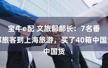 宝牛e配 文旅部部长：7名番邦旅客到上海旅游，买了40箱中国货