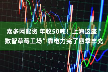 嘉多网配资 年收50吨！上海这座“数智草莓工场”靠电力完了四季丰充