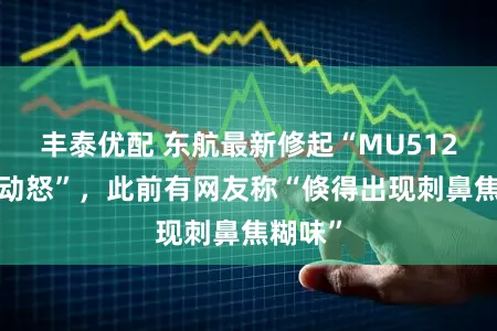 丰泰优配 东航最新修起“MU5128航班动怒”，此前有网友称“倏得出现刺鼻焦糊味”