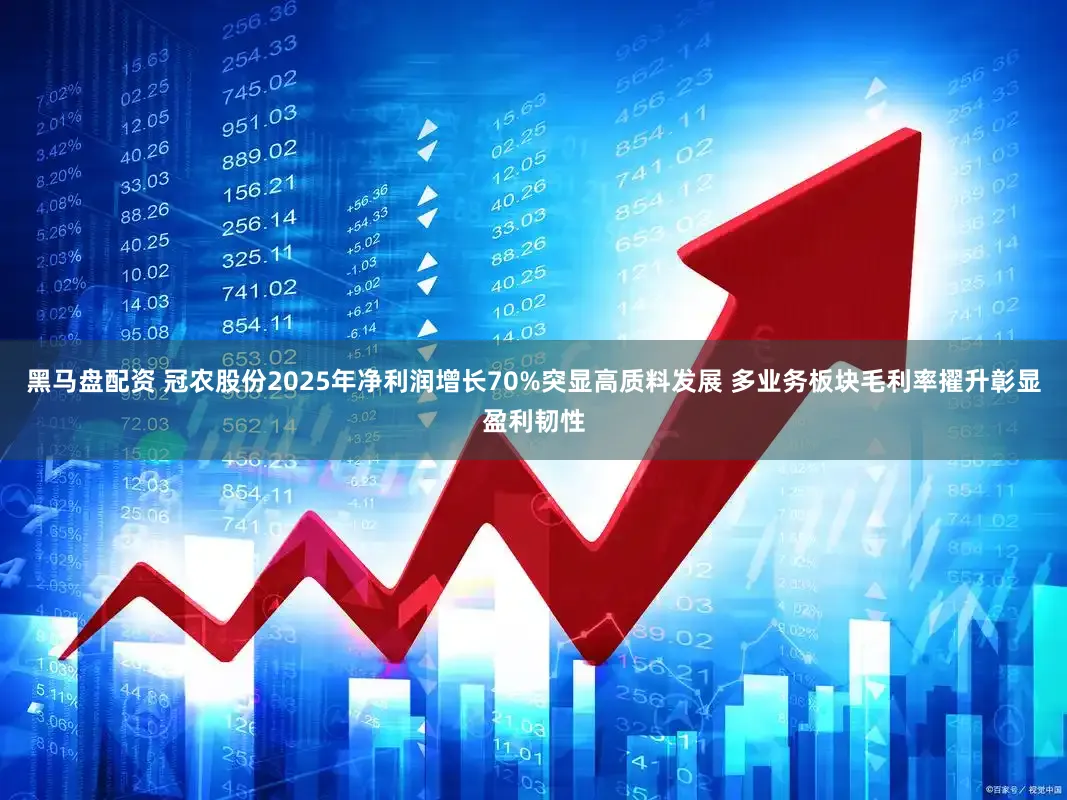 黑马盘配资 冠农股份2025年净利润增长70%突显高质料发展 多业务板块毛利率擢升彰显盈利韧性