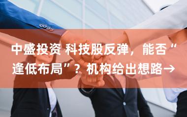 中盛投资 科技股反弹，能否“逢低布局”？机构给出想路→