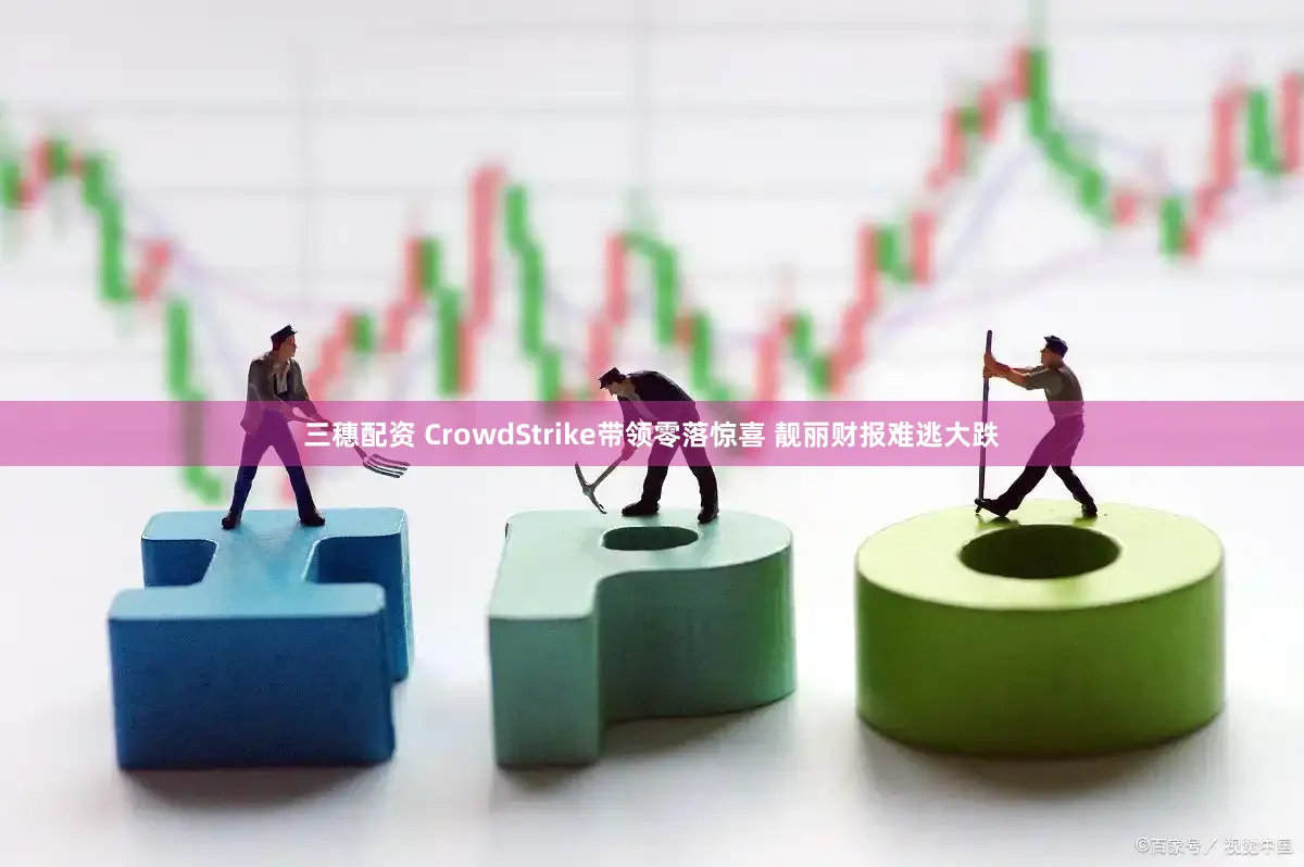 三穗配资 CrowdStrike带领零落惊喜 靓丽财报难逃大跌