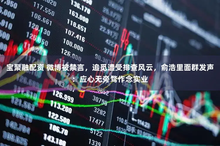 宝聚融配资 微博被禁言，追觅遭受排查风云，俞浩里面群发声：应心无旁骛作念实业