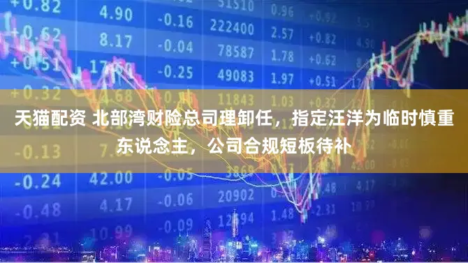 天猫配资 北部湾财险总司理卸任，指定汪洋为临时慎重东说念主，公司合规短板待补