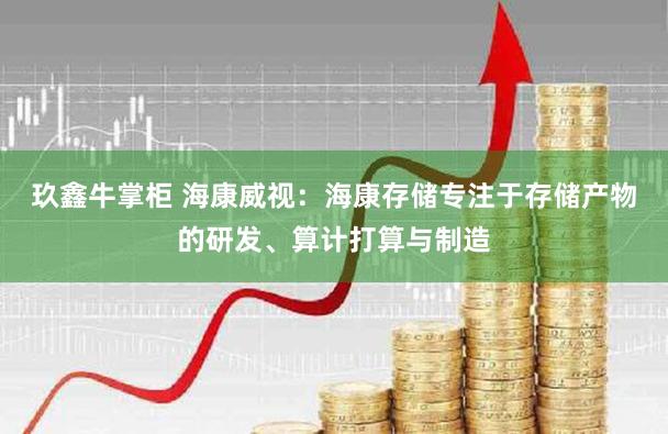 玖鑫牛掌柜 海康威视：海康存储专注于存储产物的研发、算计打算与制造