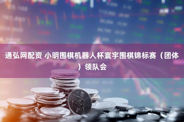 通弘网配资 小明围棋机器人杯寰宇围棋锦标赛(团体)领队会