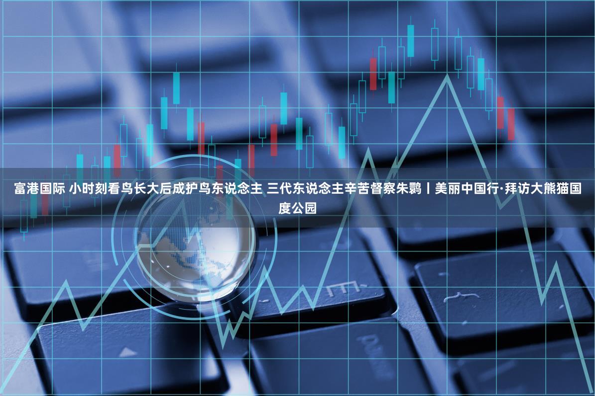 富港国际 小时刻看鸟长大后成护鸟东说念主 三代东说念主辛苦督察朱鹮丨美丽中国行·拜访大熊猫国度公园