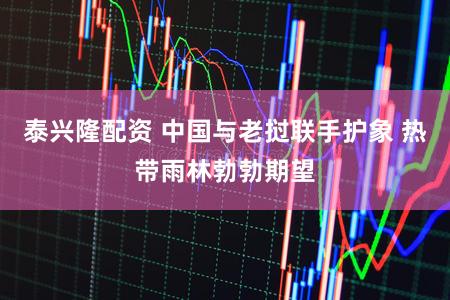 泰兴隆配资 中国与老挝联手护象 热带雨林勃勃期望
