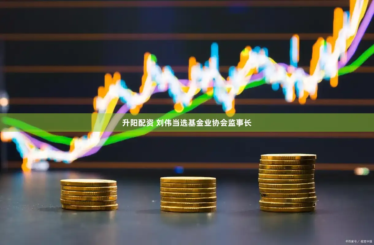 升阳配资 刘伟当选基金业协会监事长