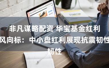 非凡谋略配资 华宝基金红利风向标：中小盘红利展现抗震韧性