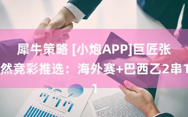 犀牛策略 [小炮APP]巨匠张然竞彩推选：海外赛+巴西乙2串1