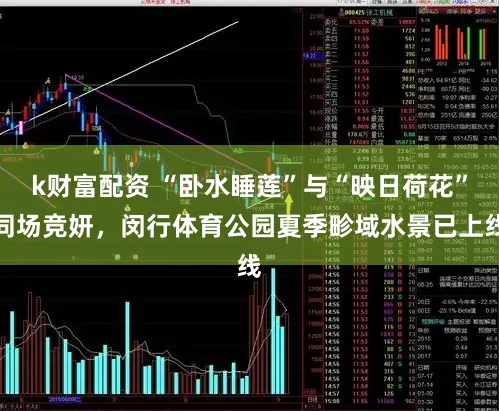 k财富配资 “卧水睡莲”与“映日荷花”同场竞妍，闵行体育公园夏季畛域水景已上线