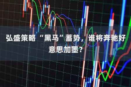 弘盛策略 “黑马”蓄势，谁将奔驰好意思加墨？