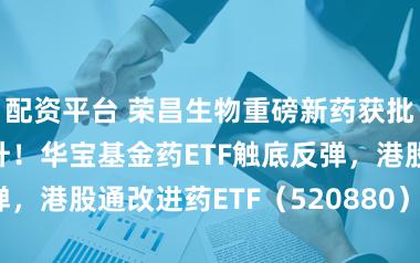 配资平台 荣昌生物重磅新药获批，AH股价皆升！华宝基金药ETF触底反弹，港股通改进药ETF（520880）捏续溢价