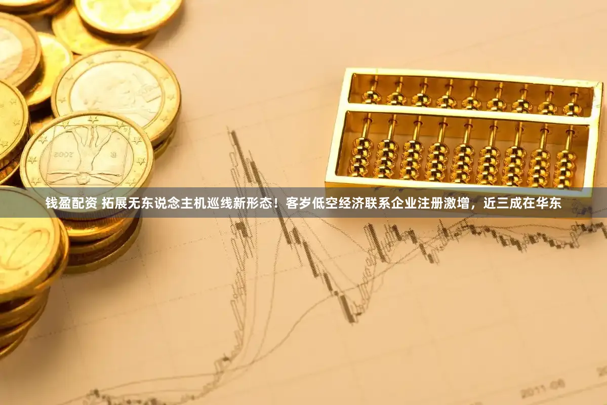 钱盈配资 拓展无东说念主机巡线新形态！客岁低空经济联系企业注册激增，近三成在华东