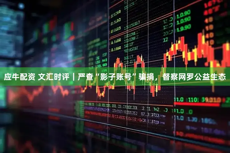 应牛配资 文汇时评｜严查“影子账号”骗捐，督察网罗公益生态