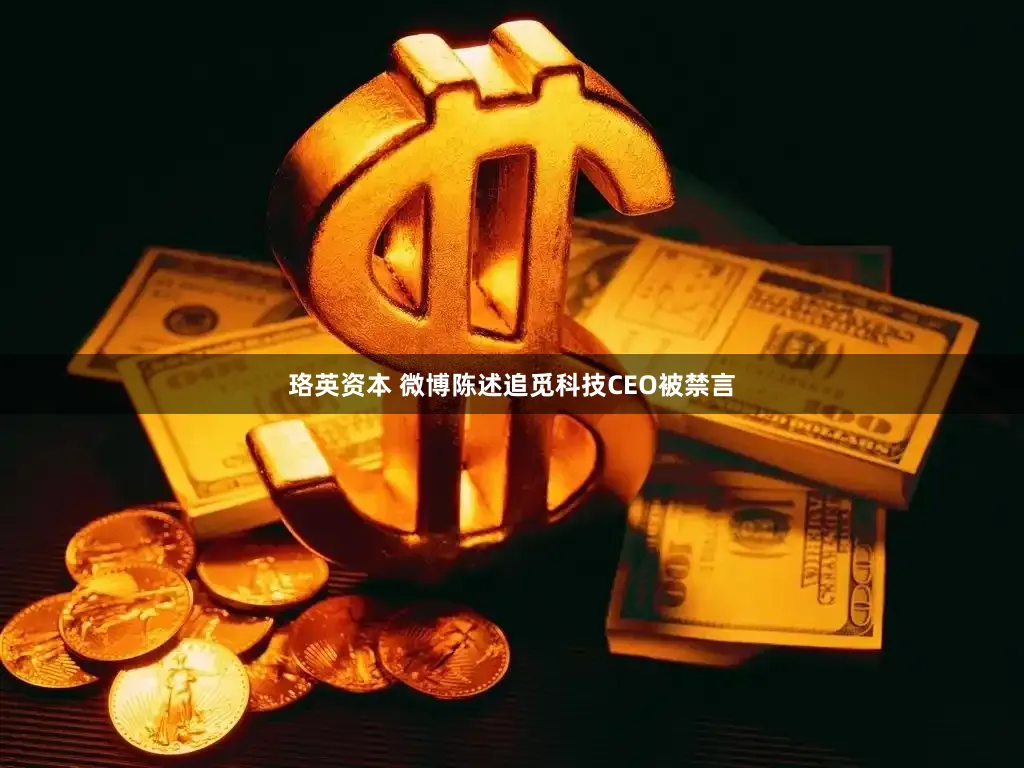 珞英资本 微博陈述追觅科技CEO被禁言