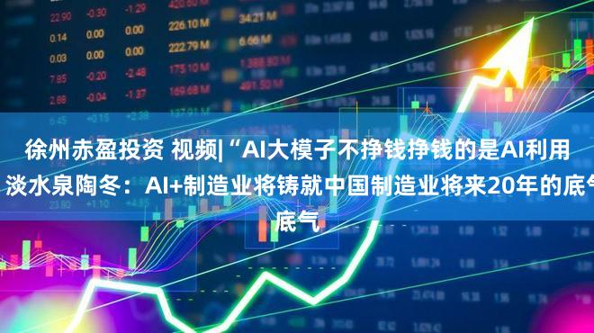 徐州赤盈投资 视频|“AI大模子不挣钱挣钱的是AI利用”淡水泉陶冬：AI+制造业将铸就中国制造业将来20年的底气