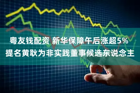 粤友钱配资 新华保障午后涨超5% 提名黄耿为非实践董事候选东说念主