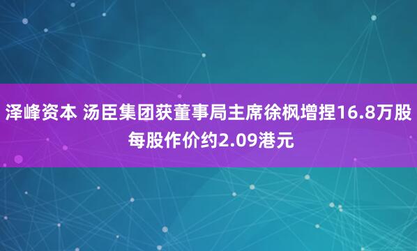 泽峰资本 汤臣集团获董事局主席徐枫增捏16.8万股 每股作价约2.09港元