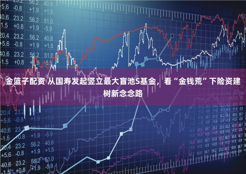 金篮子配资 从国寿发起竖立最大盲池S基金,看“金钱荒”下险资建树新念念路