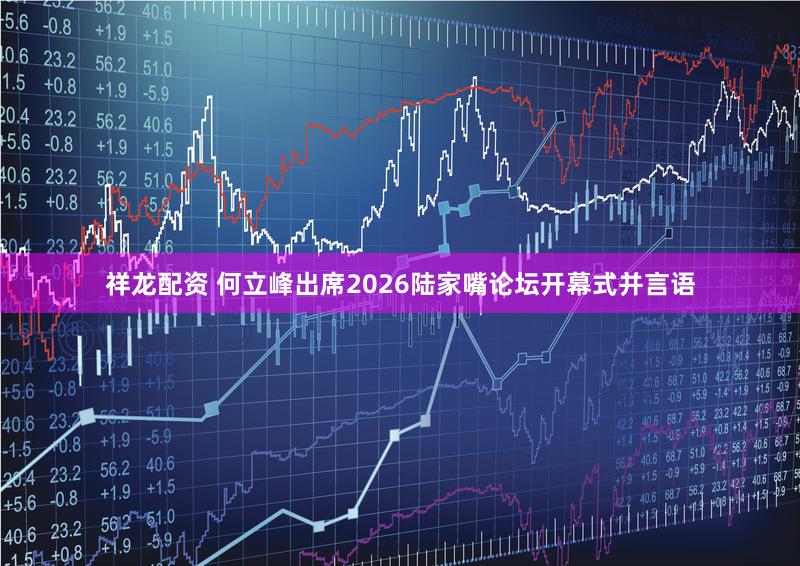 祥龙配资 何立峰出席2026陆家嘴论坛开幕式并言语