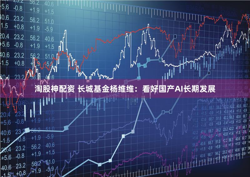 淘股神配资 长城基金杨维维：看好国产AI长期发展