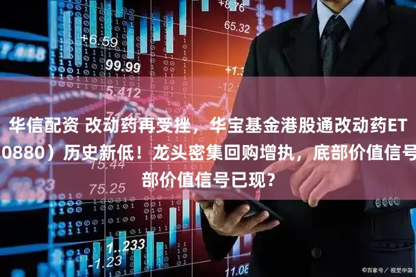 华信配资 改动药再受挫，华宝基金港股通改动药ETF（520880）历史新低！龙头密集回购增执，底部价值信号已现？